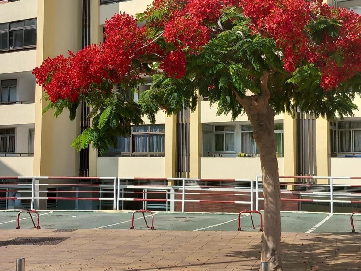 Tropical House Near Beach&Yumbo San Bartolomé Exterior foto